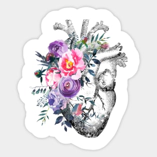 Human Heart Sticker